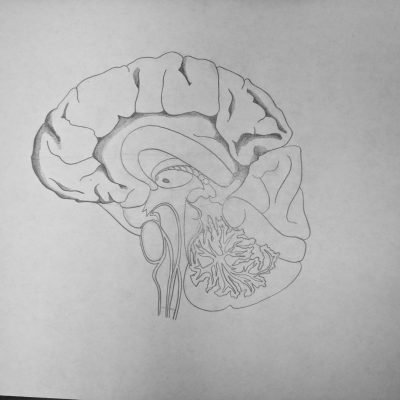 IMG_20181010_094855-1440x1080