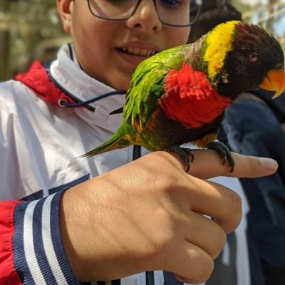 Student-Field-Trip-810x1080